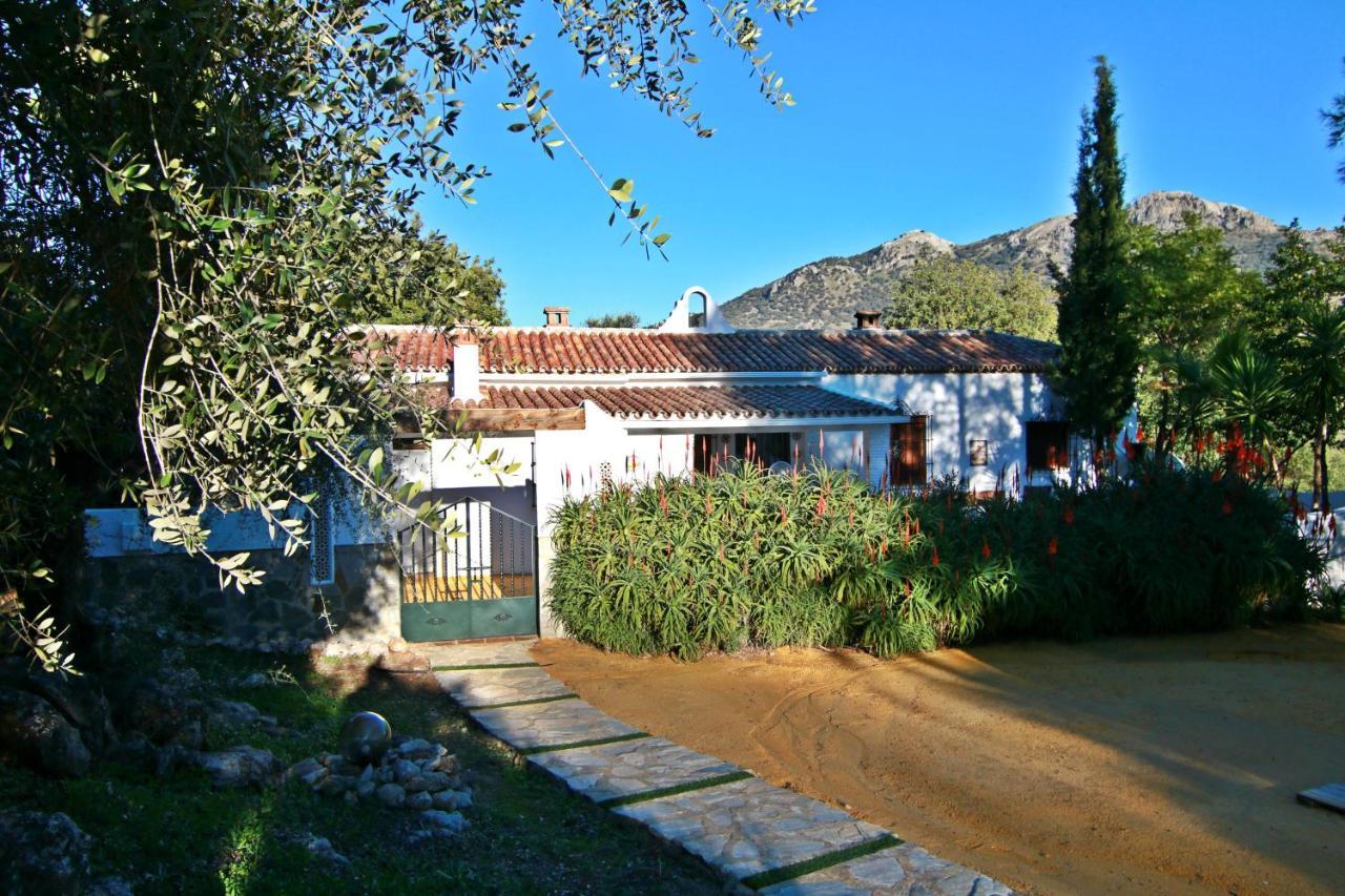 Casas Rurales Los Algarrobales إل جاستور المظهر الخارجي الصورة