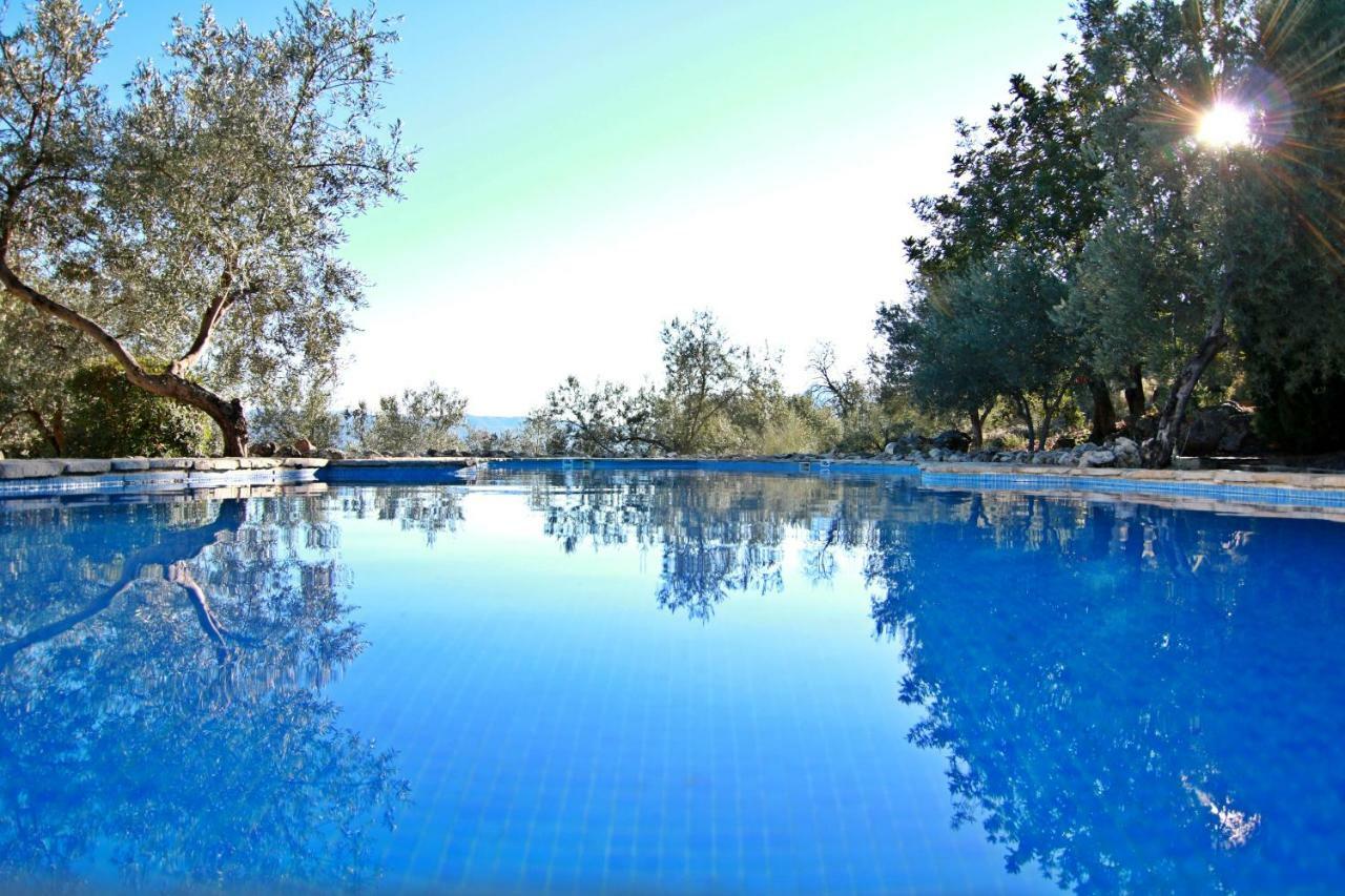 Casas Rurales Los Algarrobales إل جاستور المظهر الخارجي الصورة
