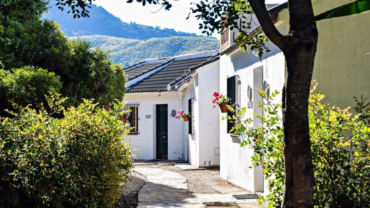Casas Rurales Los Algarrobales إل جاستور المظهر الخارجي الصورة