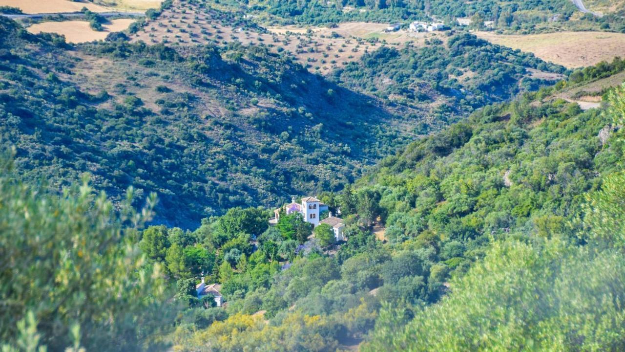 Casas Rurales Los Algarrobales إل جاستور المظهر الخارجي الصورة